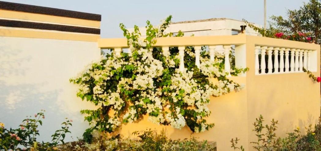 Royal Meadows - Igatpuri Bungalow B 外观 照片
